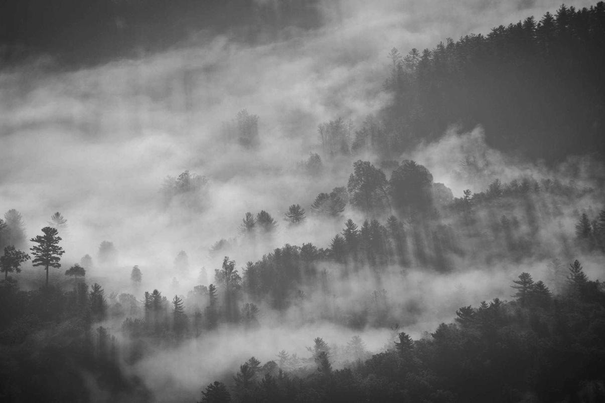 Cupiditate ex rerum quae et et iure